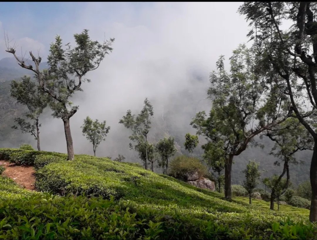 Ooty